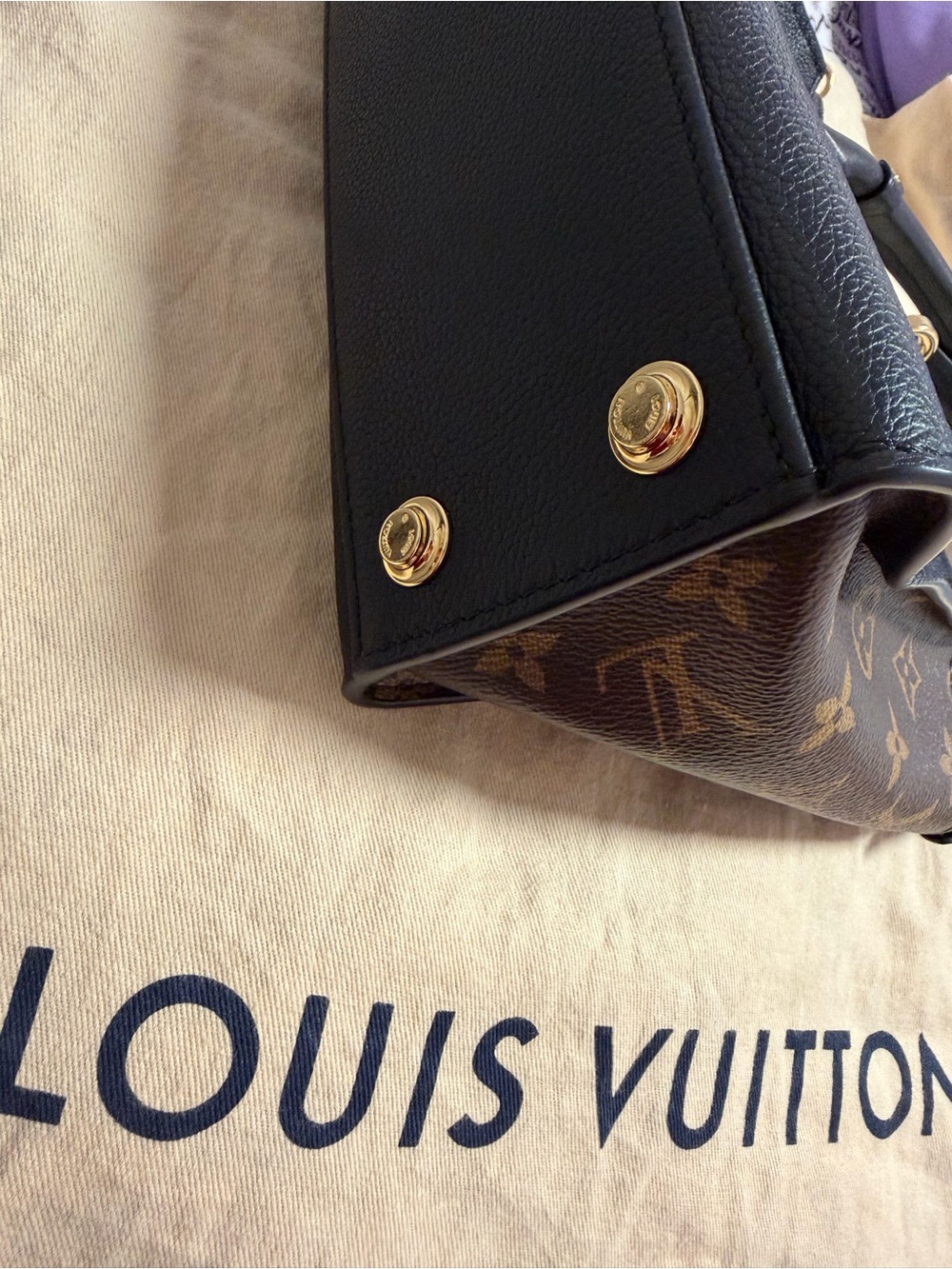 Louis Vuitton Black Leather Tote with Monogram Side Panels and Gold Hardware - Picture 5 of 5
